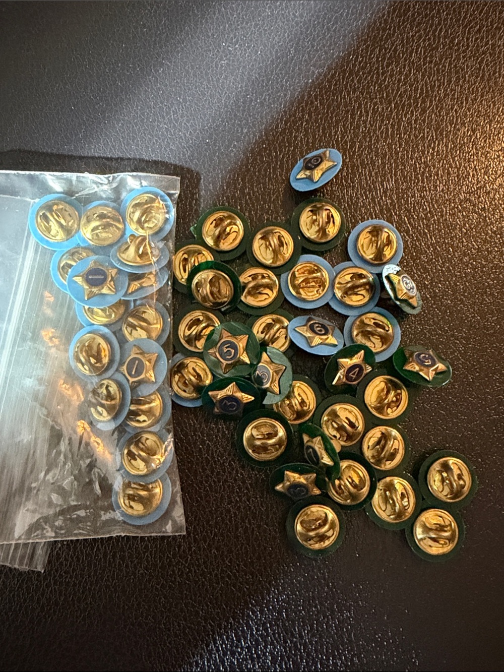 BSA Service Star pins